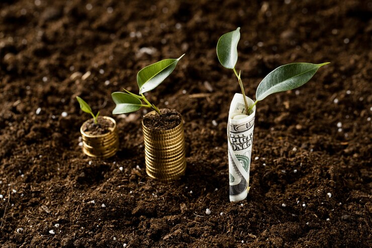 high-angle-plants-with-coins-stacked-dirt-banknote_23-2148803947